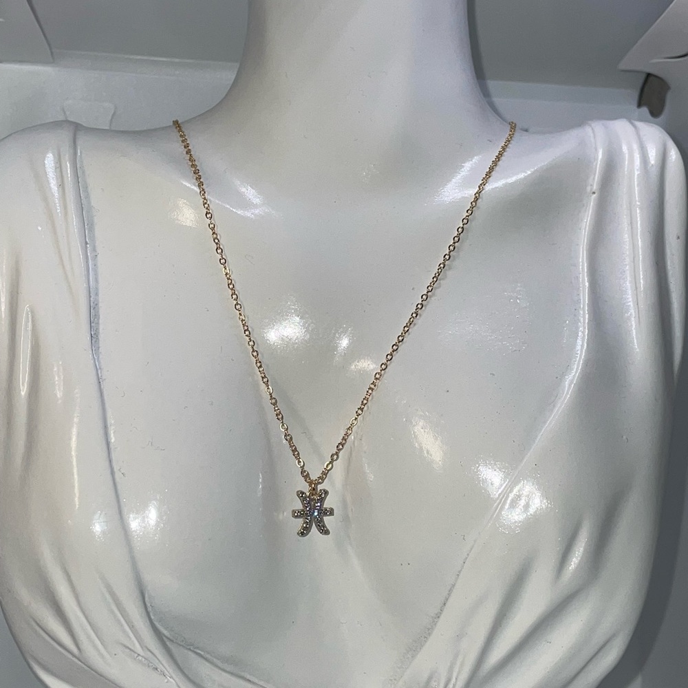Pisces ♓️ zodiac necklace